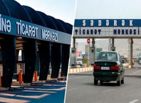 Bakıda göl daşdı, balıqlar ətrafa yayıldı