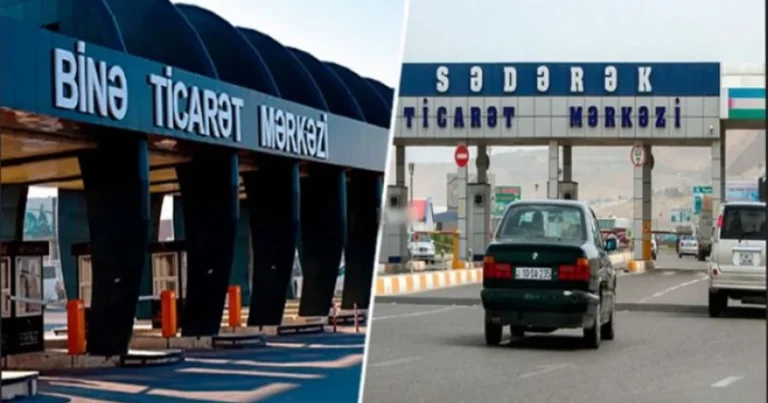 Bakıda göl daşdı, balıqlar ətrafa yayıldı