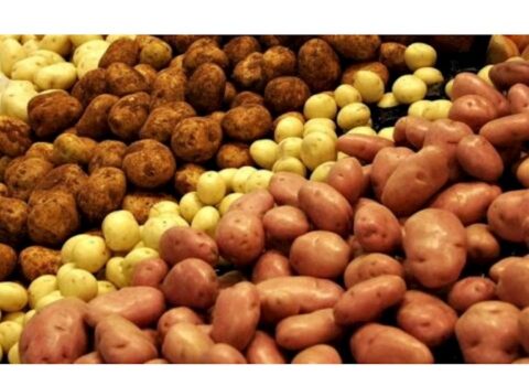 Bu kartofları yeməyin — Xəstəxanalıq olarsınız