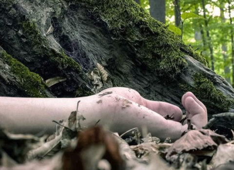 Ağsuda baş verən qətlin üstü açıldı