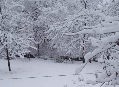 Bu ərazilərə qar yağır – FAKTİKİ HAVA