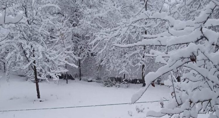Bu ərazilərə qar yağır – FAKTİKİ HAVA