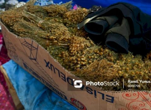 Üzərliklə bağlı daha bir dövlət qurumundan ÇAĞIRIŞ