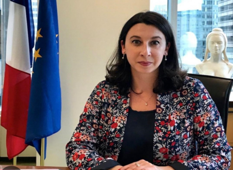 Fransa səfiri Azərbaycana təşəkkür etdi
