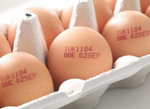 Yumurta alarkən mütləq koduna baxın – FOTO