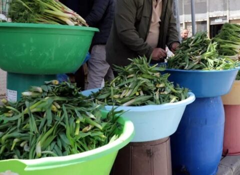 Dağlardan yığıb bazarda kilosunu 20 manata satırlar