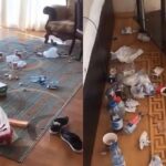 Ərəblər Bakıda evi zibilliyə döndərdi