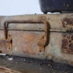 1 əsrdir saxlanılan çamadan açıldı