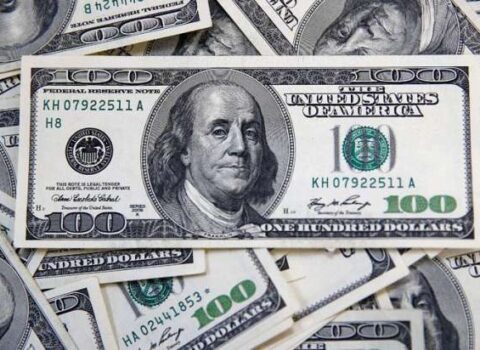 Qonşu ölkədə dollar rekord səviyyəyə çatdı
