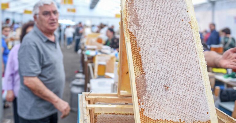 Azərbaycanda bal istehsalı üçün yeni qaydalar HAZIRLANIR
