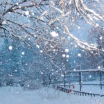 Aprel ayında Azərbaycana hava sürprizi – Ciddi risk var?