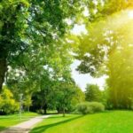 Sabah 25 dərəcə isti olacaq