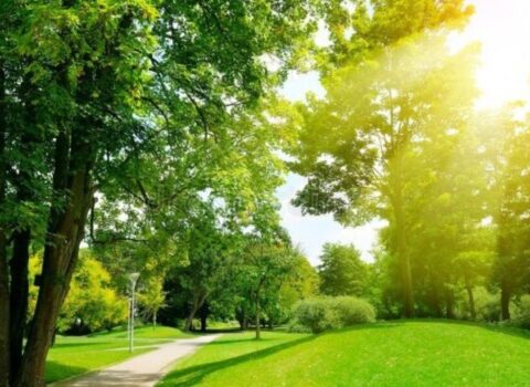 Sabah 25 dərəcə isti olacaq