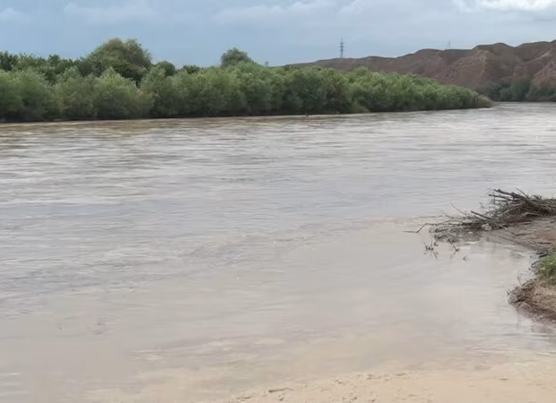 Kür çayı daşdı – Əkin sahələrini su basdı