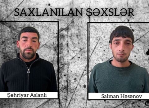 Şirvanda çətənə kolları yetişdirənlər SAXLANILDI