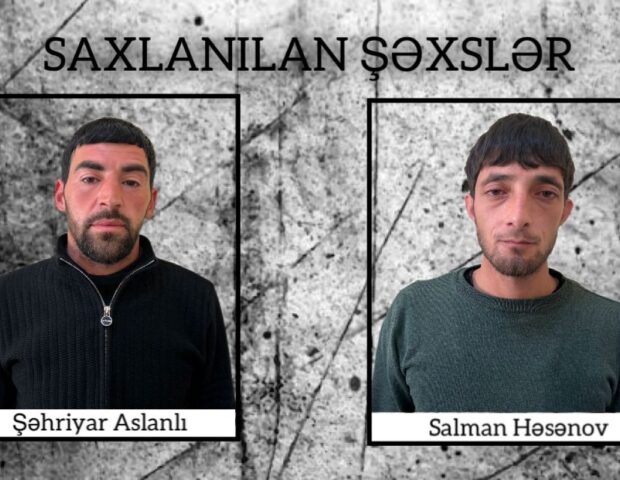 Şirvanda çətənə kolları yetişdirənlər SAXLANILDI