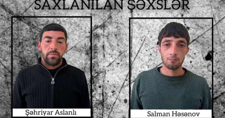 Şirvanda çətənə kolları yetişdirənlər SAXLANILDI