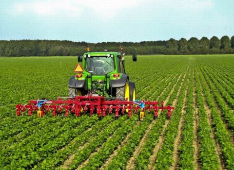 Regionların uzunmüddətli sosial-iqtisadi inkişafı bu amildən asılıdır – ŞƏRH