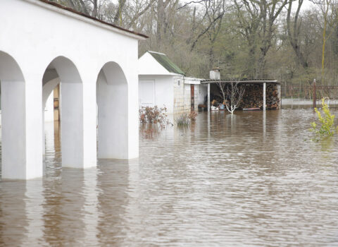 Leysan Nabranda da ciddi fəsadlar yaratdı – Fotolar