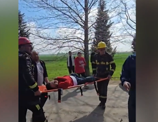 Beyləqanda avtomobil ağaca çırpılıb – VİDEO