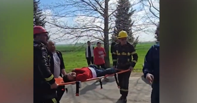 Beyləqanda avtomobil ağaca çırpılıb – VİDEO