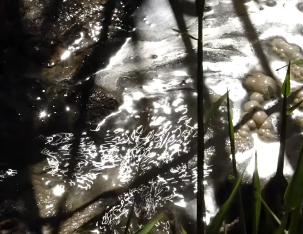 Zığ sakinləri təhlükə içində: “Uşaq gözümün qabağında kanala düşdü” – VİDEO