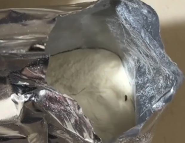 Uşaq qidasından həşərat çıxıb? – Nəzarətə götürüldü+Video