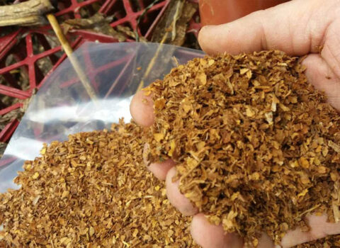 Azərbaycanda tütündən istifadə məhdudlaşdırılacaq? – VACİB AÇIQLAMA