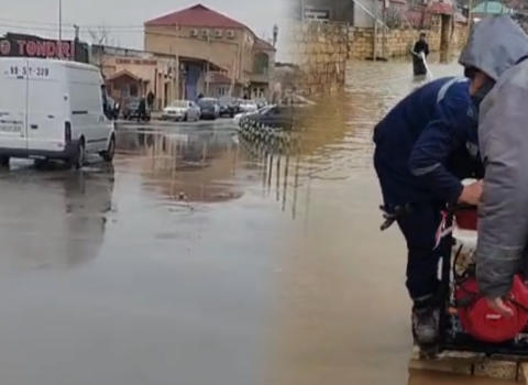 Aidiyyəti qurumlar fasiləsiz fəaliyyət göstərir – VİDEO
