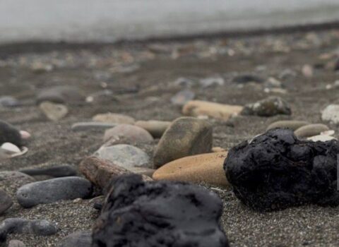 Lənkəranda dəniz sahilində mazut tullantılarına rast gəlinir