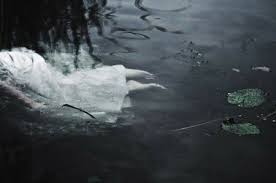 ŞOK: Generalı gəmidə öldürüb dənizə atdılar – FOTO