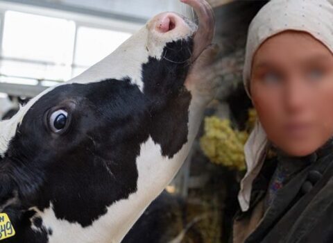 Fermada qadına təcavüz edən çobana hökm oxundu