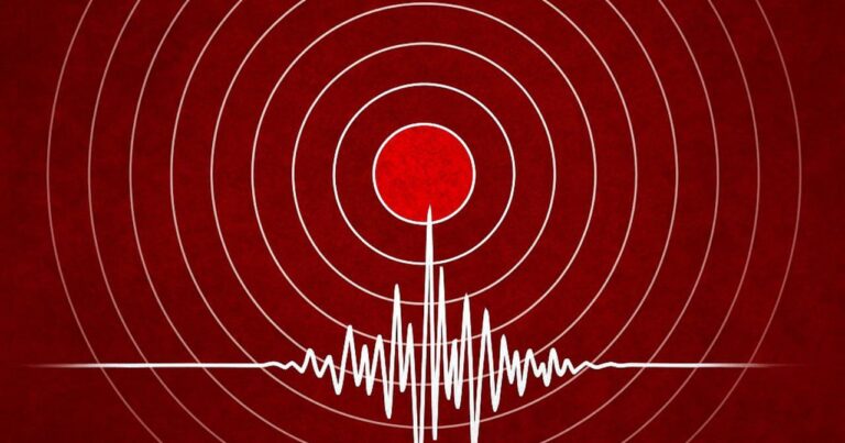 Qardaş ölkədə zəlzələ oldu