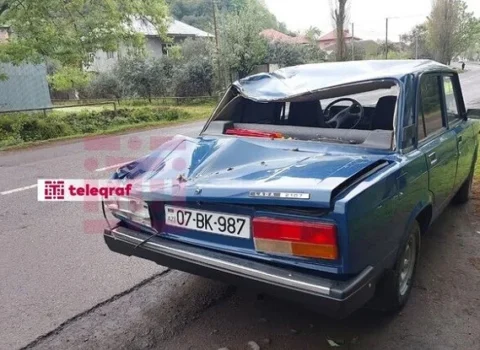 Ağac maşının üzərinə aşdı: gəlin və qayınana xəsarət aldı – Foto