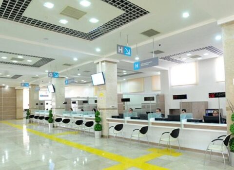 Saxta sənədlə 20 ildir Almaniyaya sığınan Aidə ifşa oldu