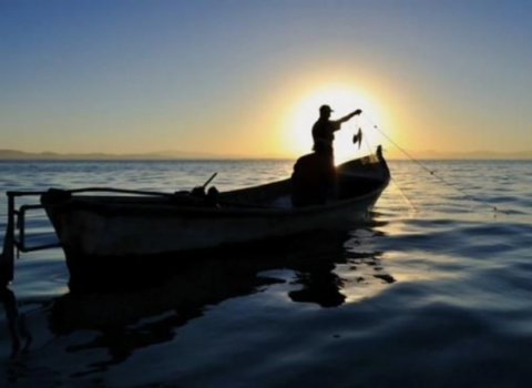 Xəzərdə balıq ovu tam dayandırılır – TARİX