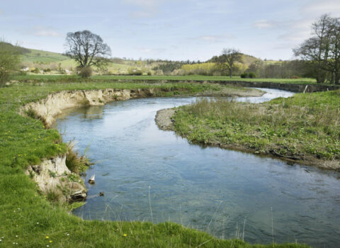 5 rayonda çayların üzərində mühafizə bəndləri tikiləcək