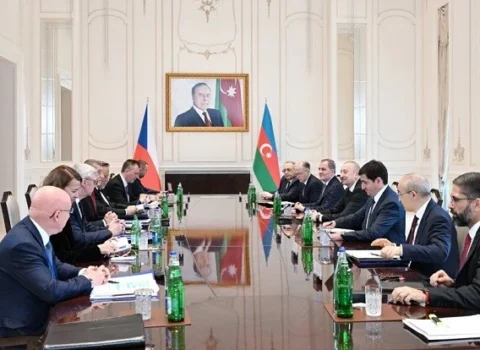İlham Əliyevin Babişlə geniş tərkibdə görüşü başladı
