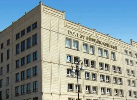 Dövlət Gömrük Komitəsində ciddi nöqsanlar aşkarlandı