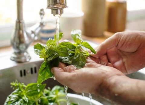 Göyərti də bahalaşdı