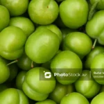 Azərbaycanda alça bağlarında DƏHŞƏTLİ xəstəlik yayıldı – VİDEO