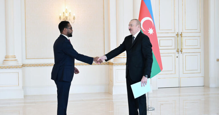Prezident yeni səfirləri qəbul etdi – FOTOLAR