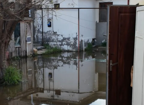 “Kollektoru düzəltmək lazımdır, deyirlər, hələ maşınımız yoxdur” – Video