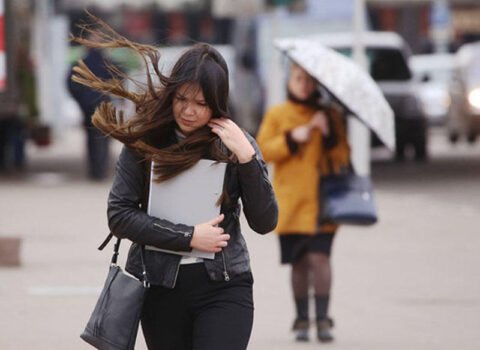 Bakıda küləyin sürəti 28 m/s-yə çatdı – FAKTİKİ HAVA