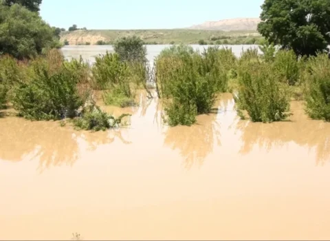 ADSEA Kür çayının daşması ilə bağlı məlumatlara aydınlıq gətirdi