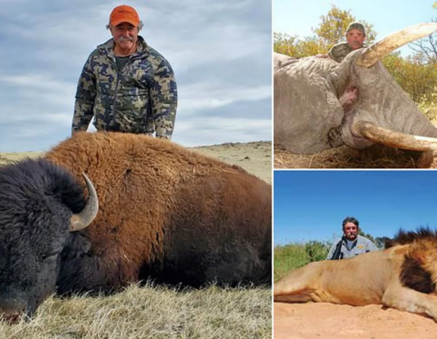 Milyoneri fillər tapdalayıb öldürdü