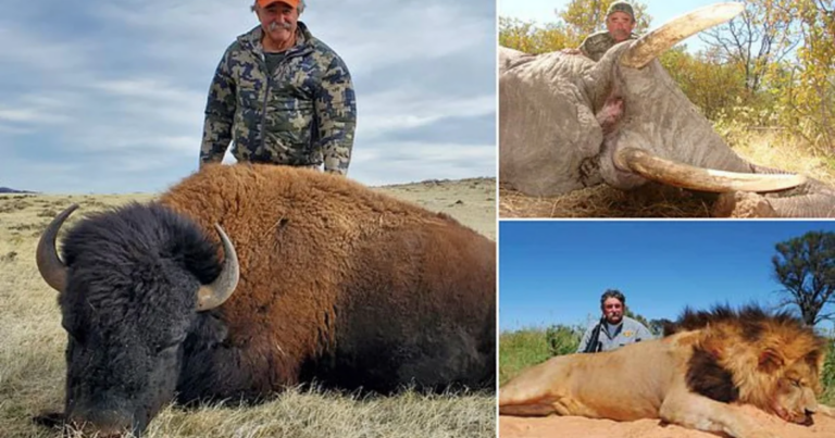 Milyoneri fillər tapdalayıb öldürdü