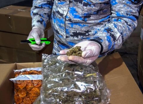 Quru meyvə adı altında ölkəyə narkotik daşındı – ƏMƏLİYYAT