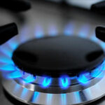 Qazın qiyməti ARTDI