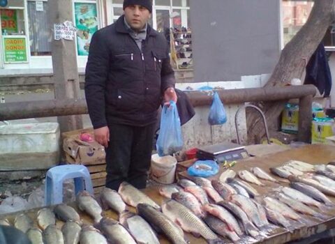 Binaların önündə satılan balıqlar təhlükəlidir